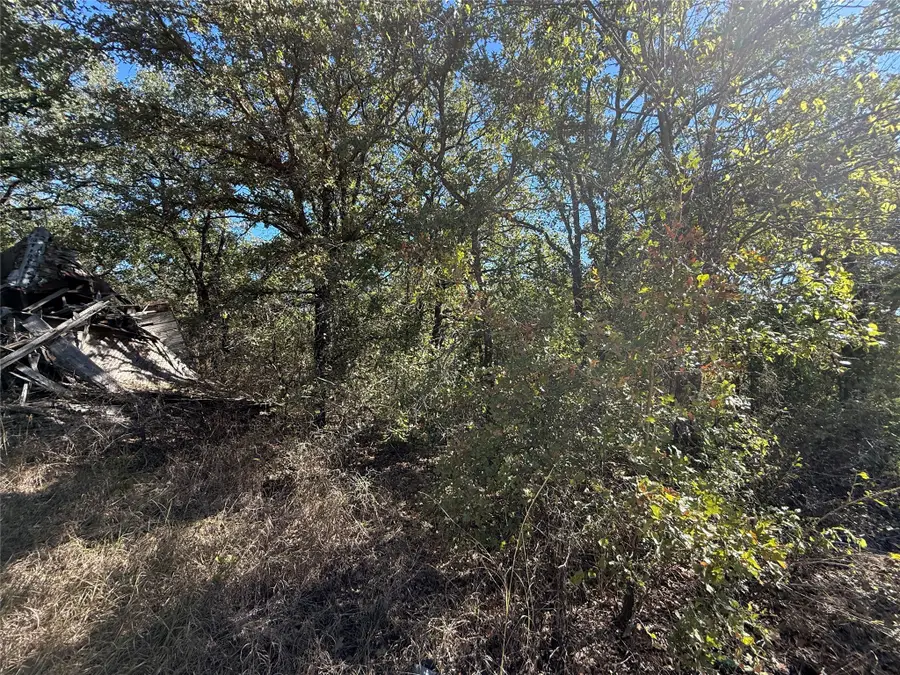 0 TBD Lakeside Drive, Bowie, TX 76230 - Image #3