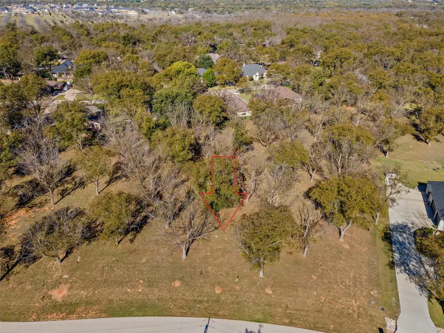 8009 W Landings Road, Granbury, TX 76049 - Image #3