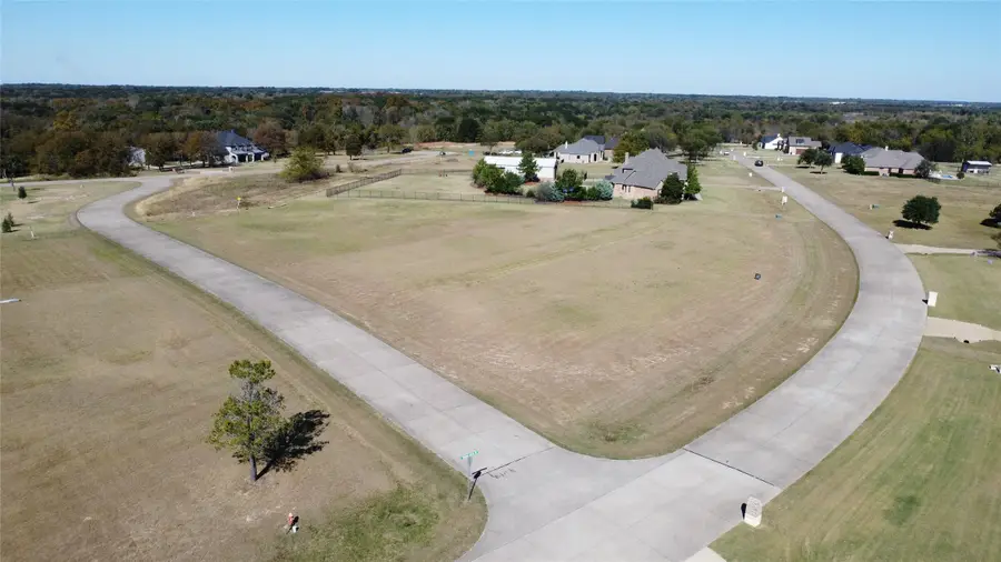 1277 Shadow Lakes Drive, Wills Point, TX 75169 - Image #3