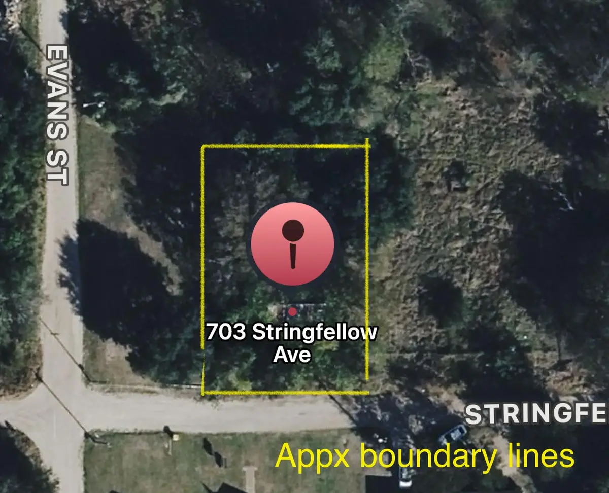 703 Stringfellow Avenue, Marlin, TX 76661 - #1