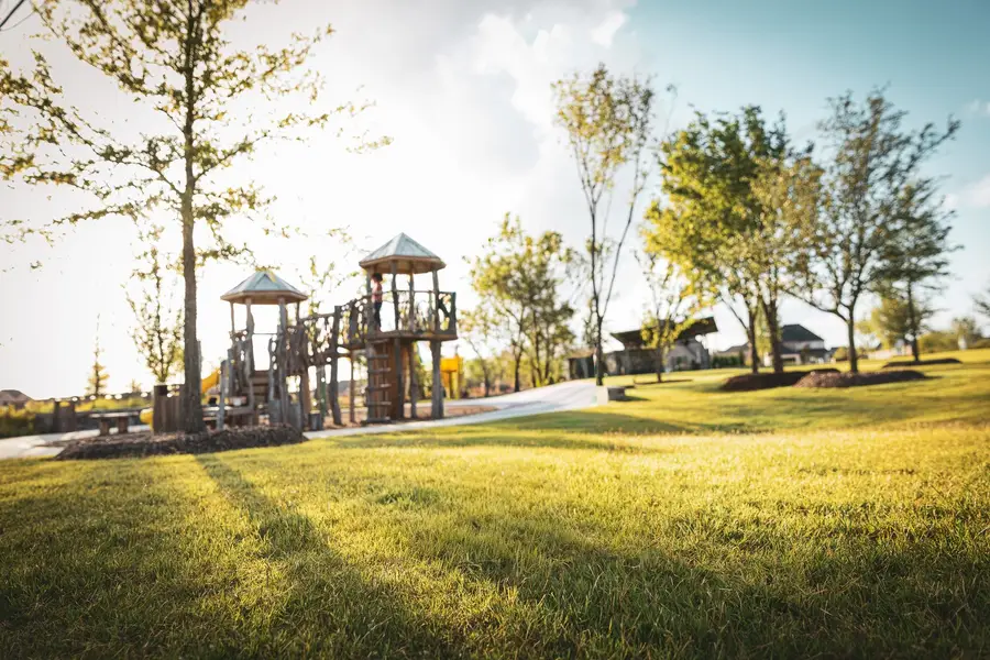 9136 Pavonia Lane, Frisco, TX 75035 - Image #3