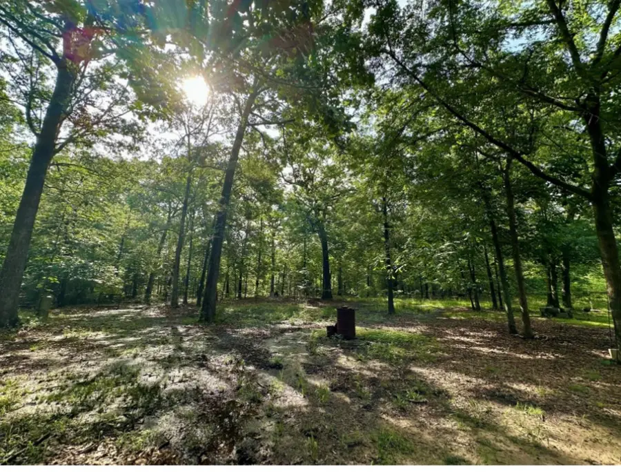 2630 County Road 43270, Powderly, TX 75473 - Image #3