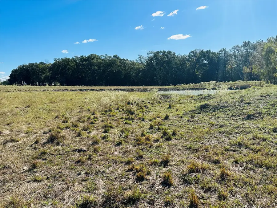 1683 County Road 3563 #(22.106 ac.), Dike, TX 75437 - Image #3