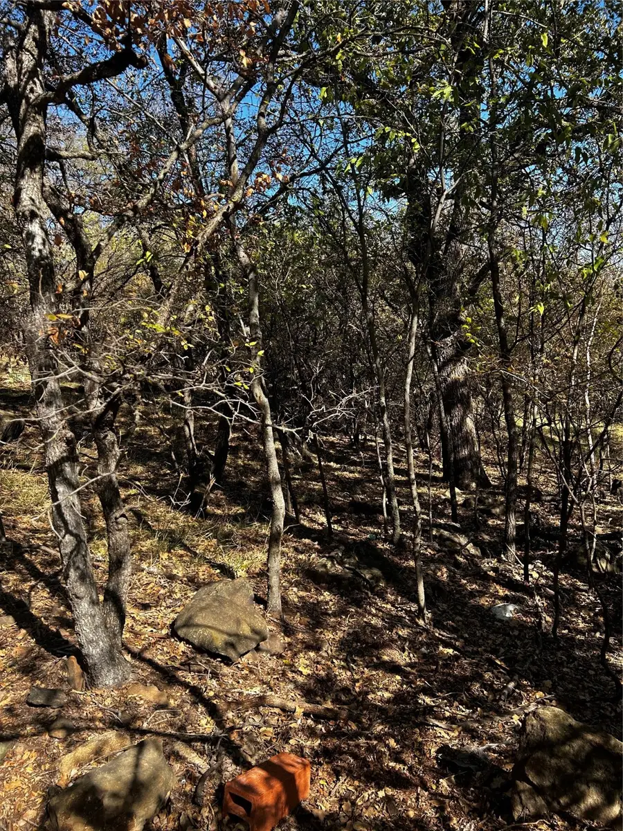 TBD Nw 9th Street, Mineral Wells, TX 76067 - Image #3