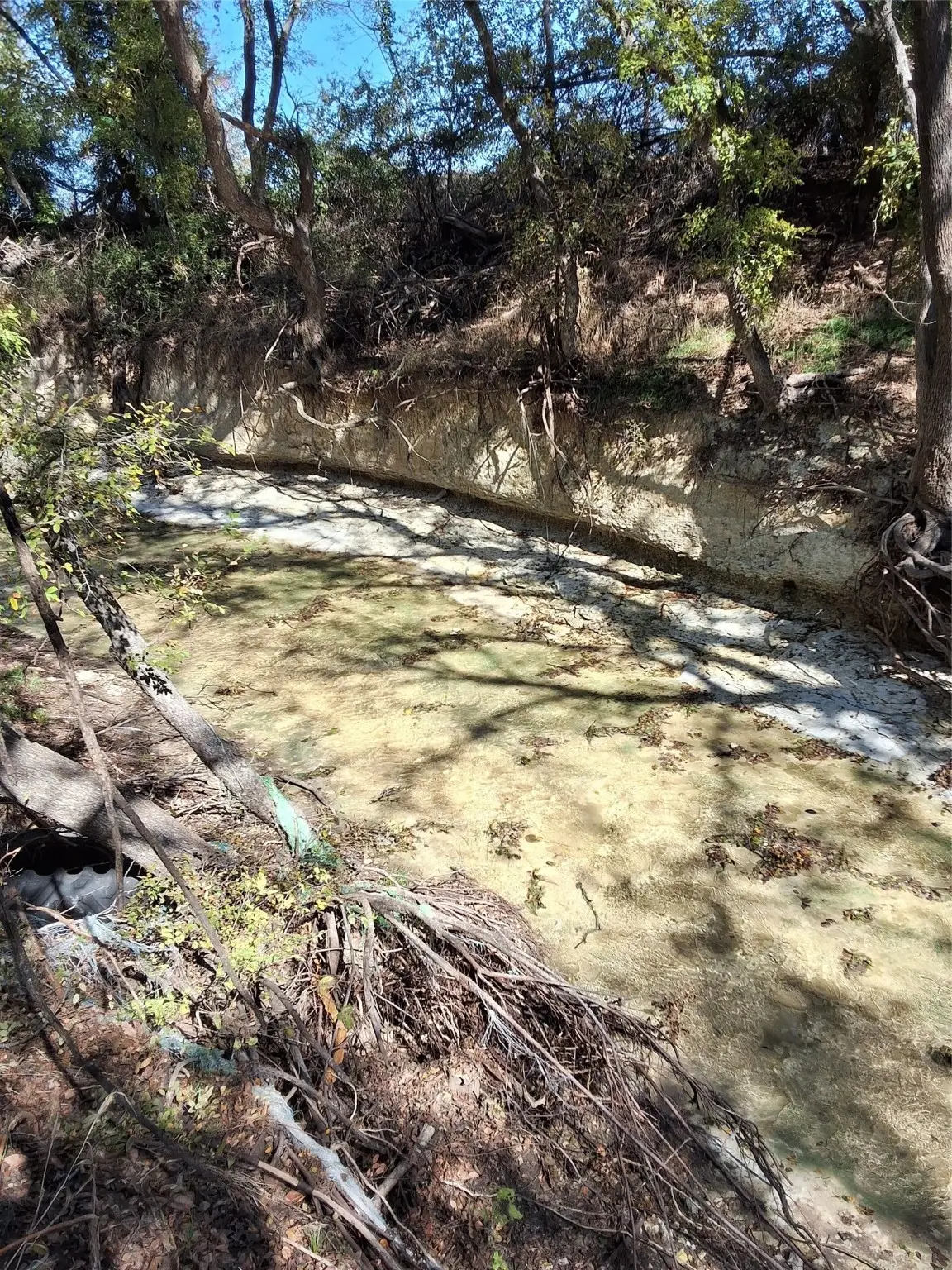 T B D Hcr 3124 (main St), Bynum, TX 76631 - Image #1