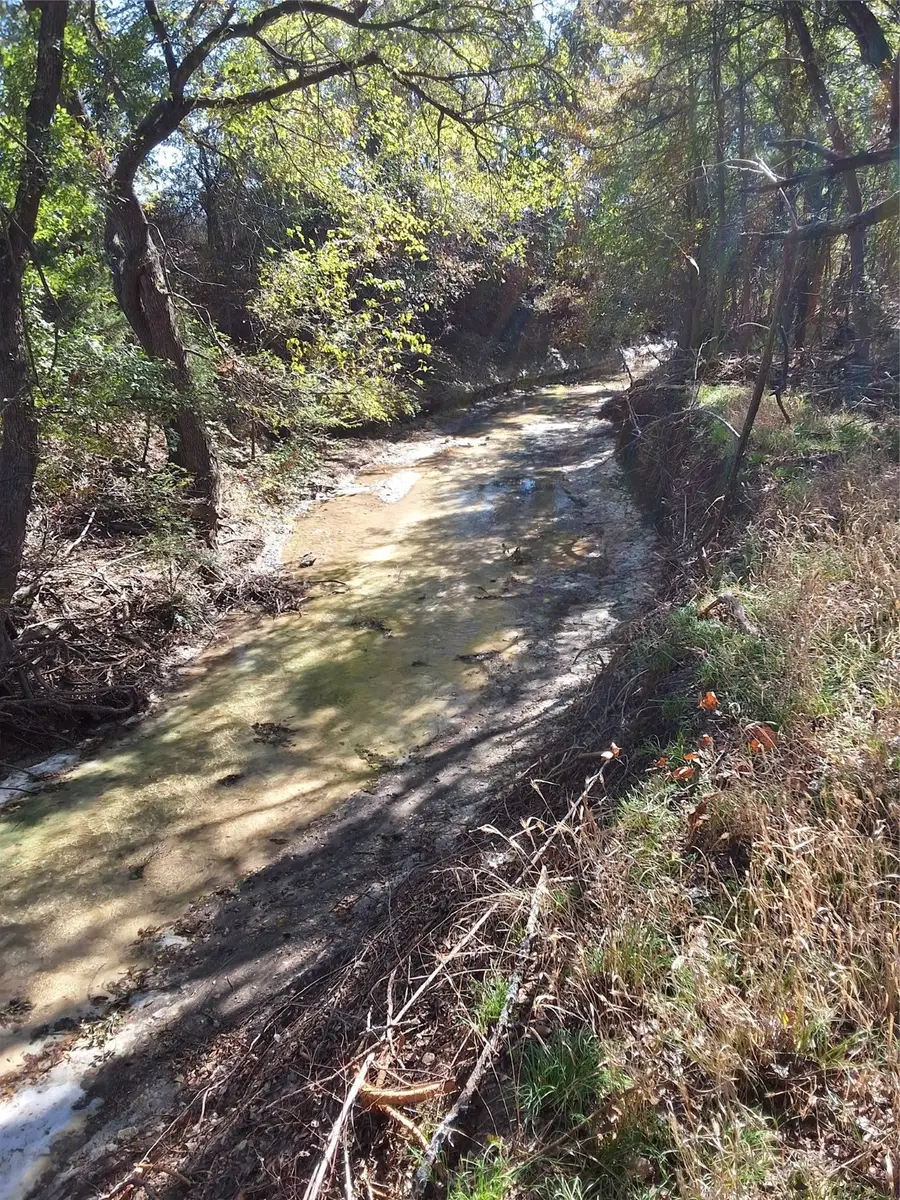 T B D Hcr 3124 (main St), Bynum, TX 76631 - Image #2