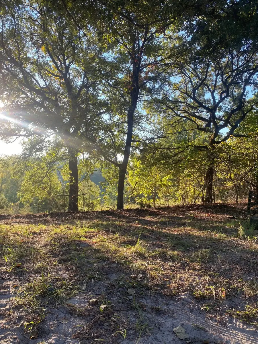 20453 Fm 1253, Lindale, TX 75771 - Image #2