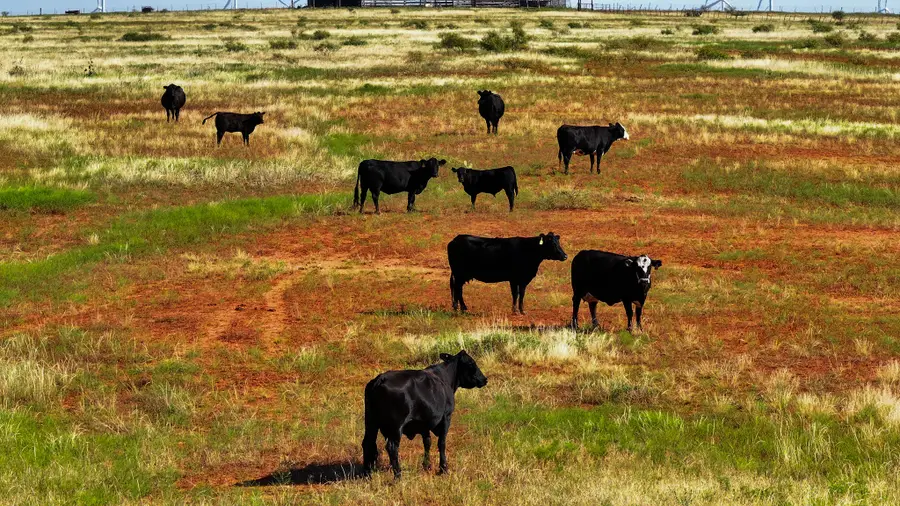 0000 County Road 140, Harrold, TX 76364 - Image #3