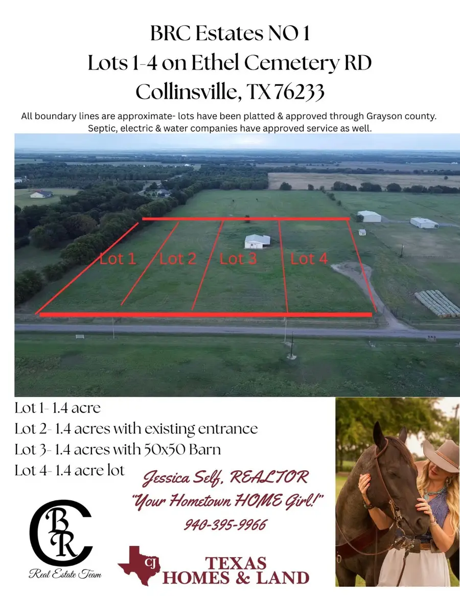 Lot 4 Ethel Cemetery Road, Collinsville, TX 76233 - Image #2