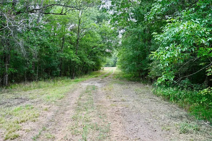 TBD Fm 71 Highway, Talco, TX 75487 - Image #2