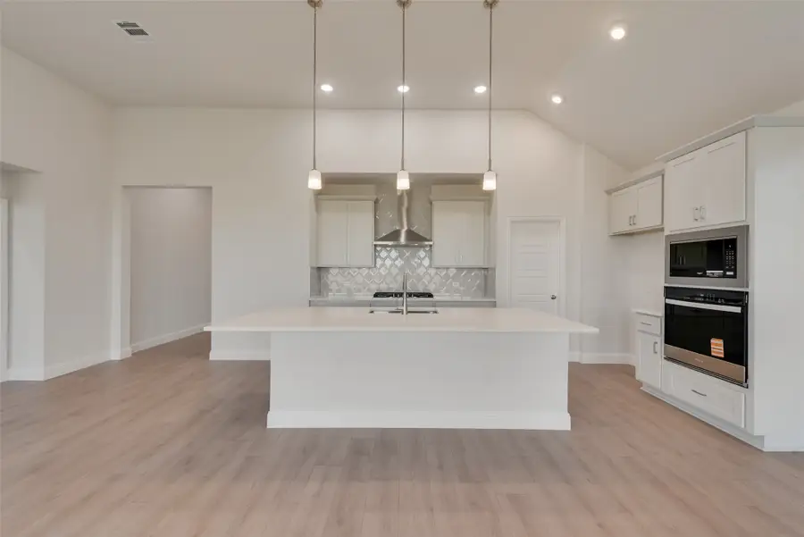 16521 Boston Ivy Drive, Justin, TX 76247 - Image #2