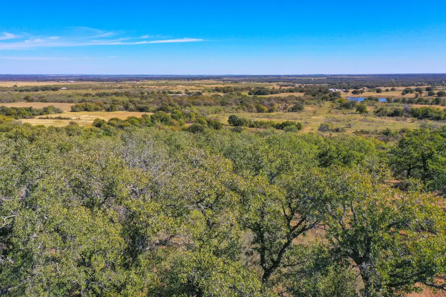 34.38 Acres Lester Road, Jacksboro, TX 76458 - Image #2