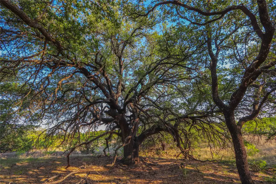 TBD County Road 404, Valera, TX 76884 - Image #3