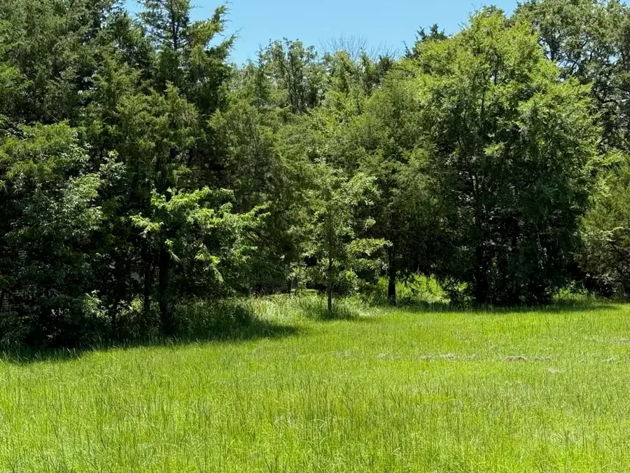 52 Coyote Creek Drive, Gordonville, TX 76245 - Image #3