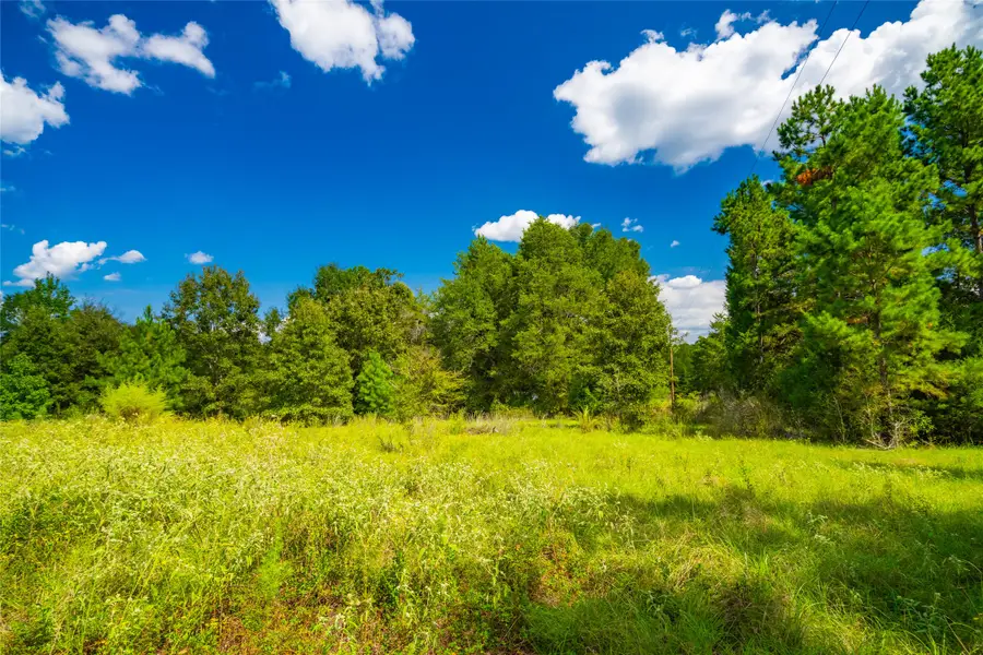 14799 Fm 315, Palestine, TX 75803 - Image #3