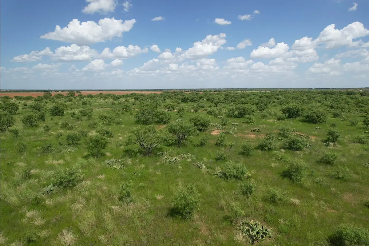 TBD Co Rd 495, Hawley, TX 79525 - Image #1