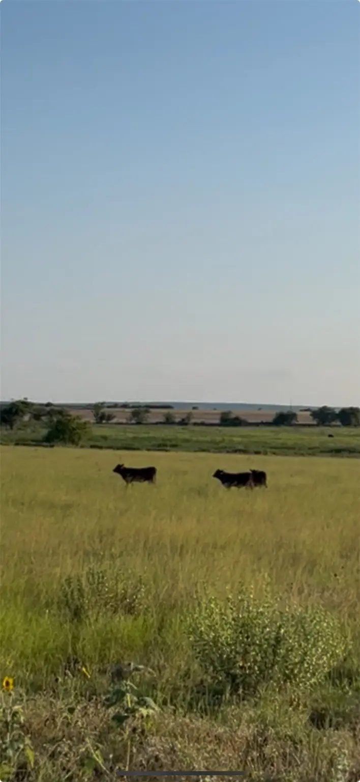 3481 County Road 404, Hamilton, TX 76531 - Image #2