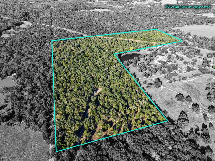 45 Acres County Road 930, Teague, TX 75860 - Image #3