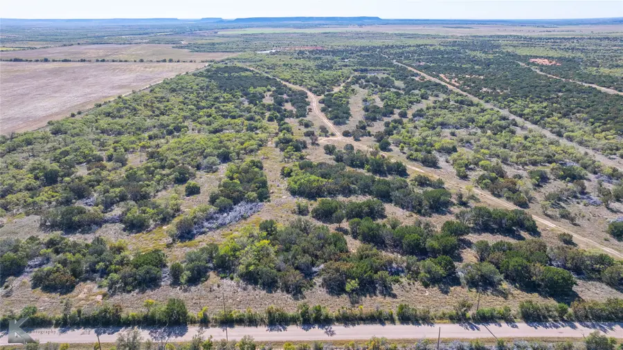 Lot 5 County Road 205, Ovalo, TX 79541 - Image #3