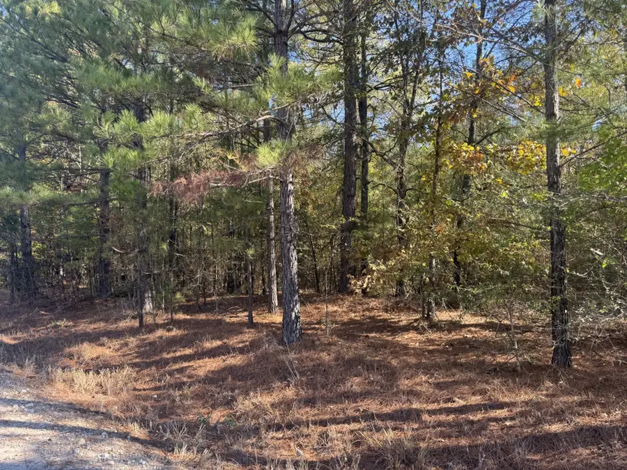 TBD Cr 2451, Clarksville, TX 75426 - Image #3