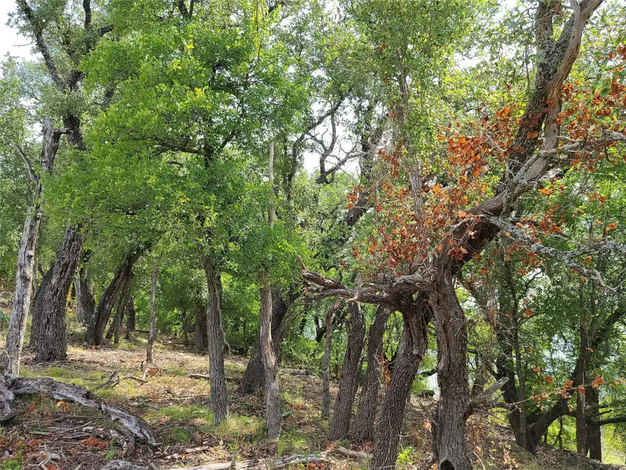 tbd Long View Drive, Brownwood, TX 76801 - Image #2