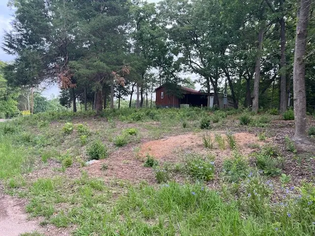 TBD E Walnut Trail, Murchison, TX 75778 - Image #2