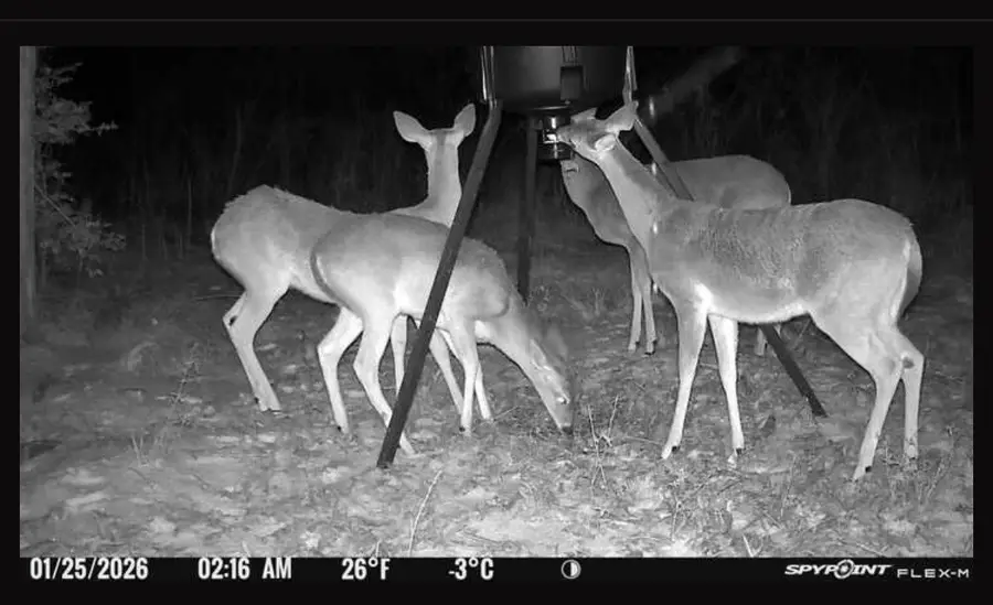 17741 County Road 431, Lindale, TX 75771 - Image #2