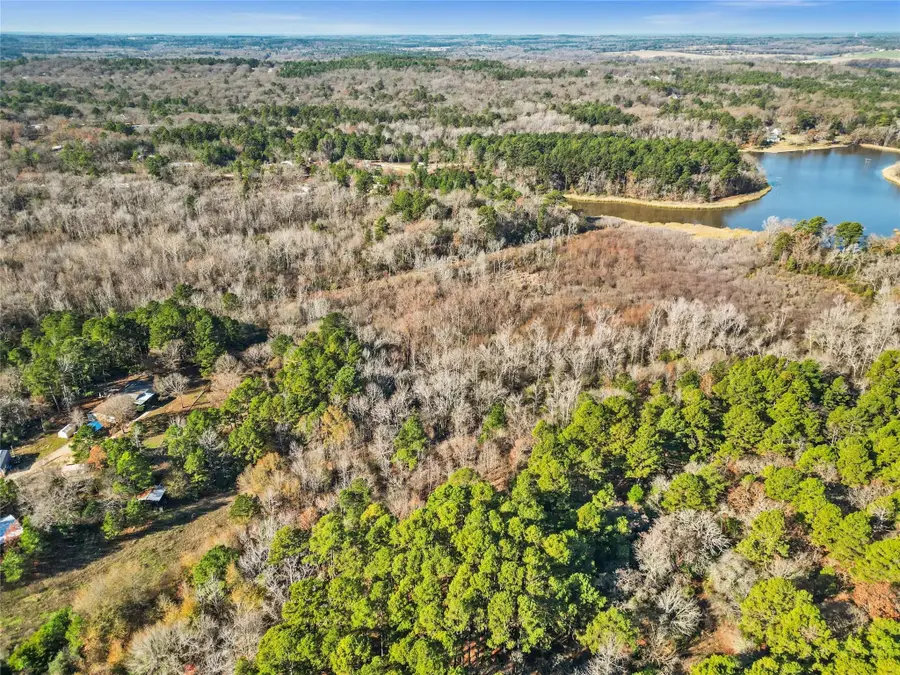 17741 County Road 431, Lindale, TX 75771 - Image #3