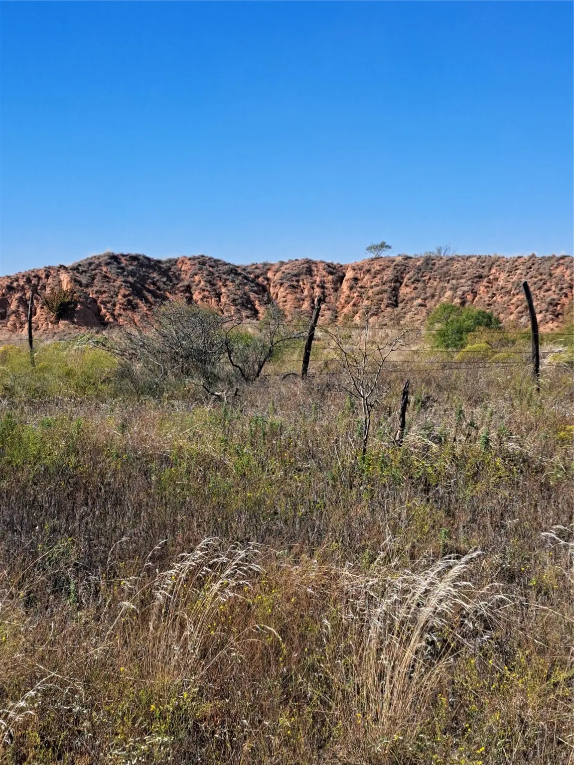 TBD 140.60 Acres, Merkel, TX 79536 - Image #1