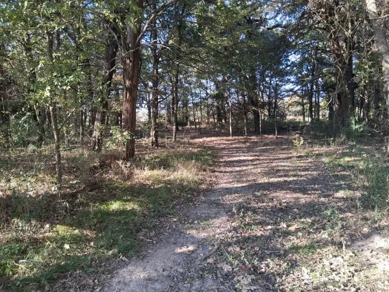 1071 County Road 2205, Ivanhoe, TX 75447 - Image #3