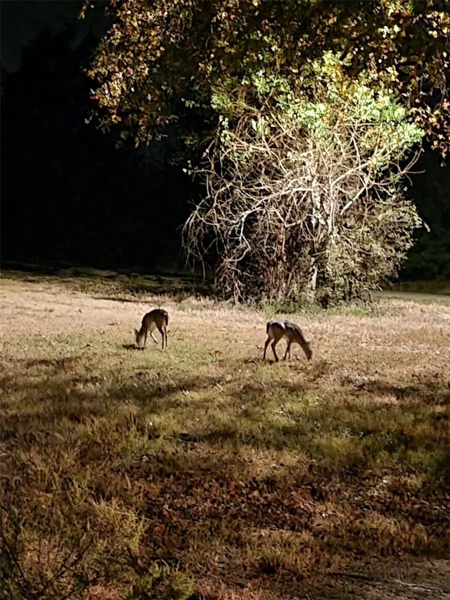 Lot 2 Cr 120, Wills Point, TX 75169 - Image #2