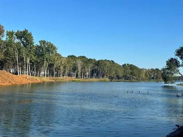 Lot 43 Oak River, Frankston, TX 75763 - Image #1