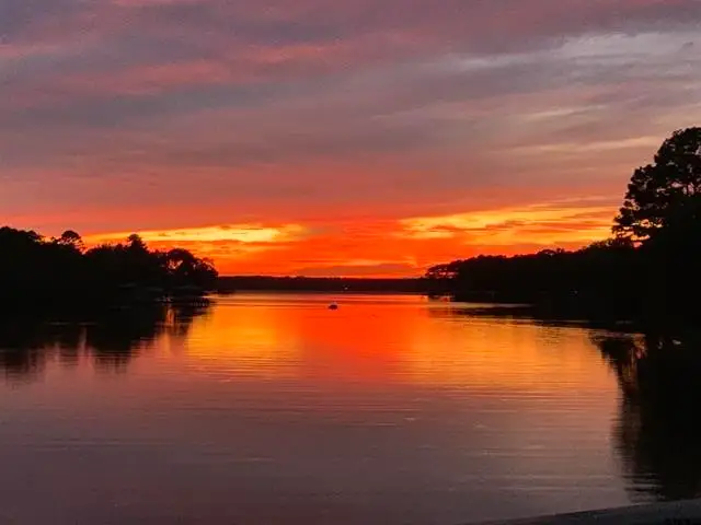 Lot 43 Oak River, Frankston, TX 75763 - Image #3