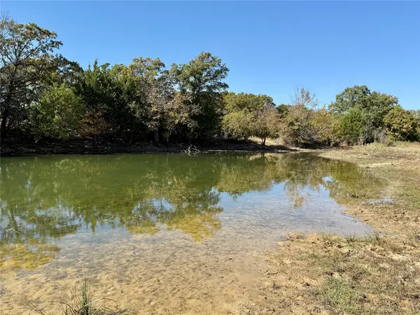2753 Big Tree Road, Montague, TX 76251