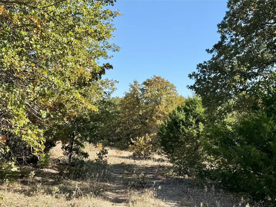 2753 Big Tree Road, Montague, TX 76251 - Image #3