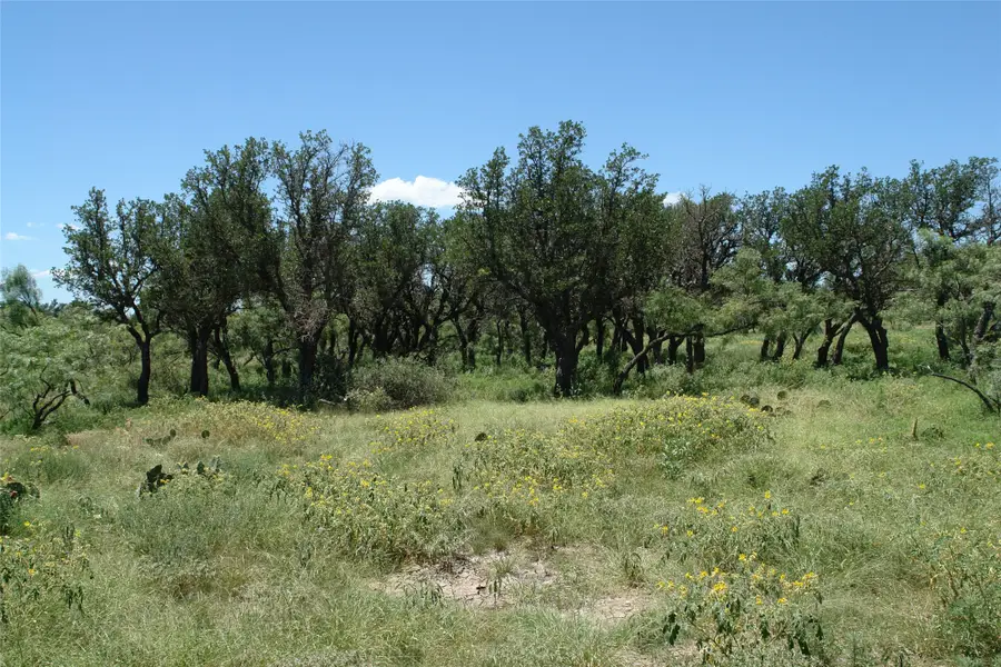 0001 Cr 146, Brady, TX 76825 - Image #3