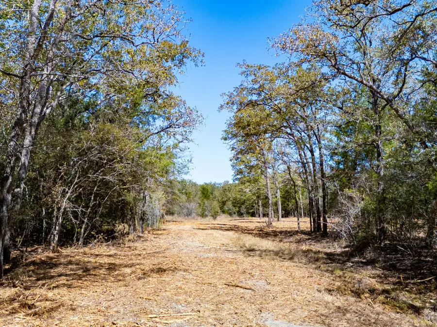 12191 County Road 414, Somerville, TX 77879 - Image #3