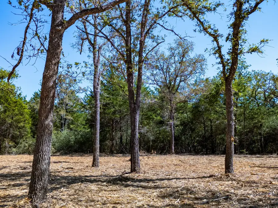 12345 Country Road 414, Somerville, TX 77879 - Image #3