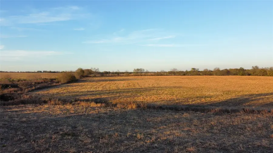 TBD County Road 1222, Deport, TX 75435 - Image #3