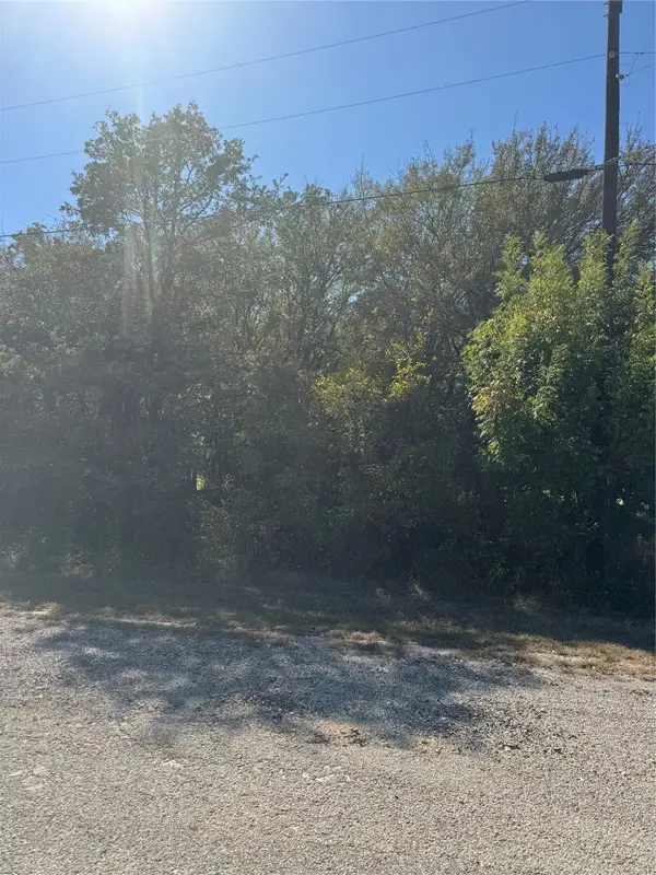 31008 Doe Run Court, Whitney, TX 76692