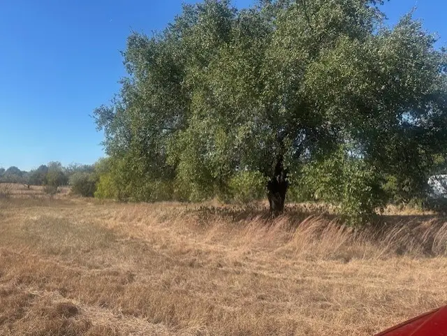 8913 S Peaceful Court, Granbury, TX 76048 - Image #2