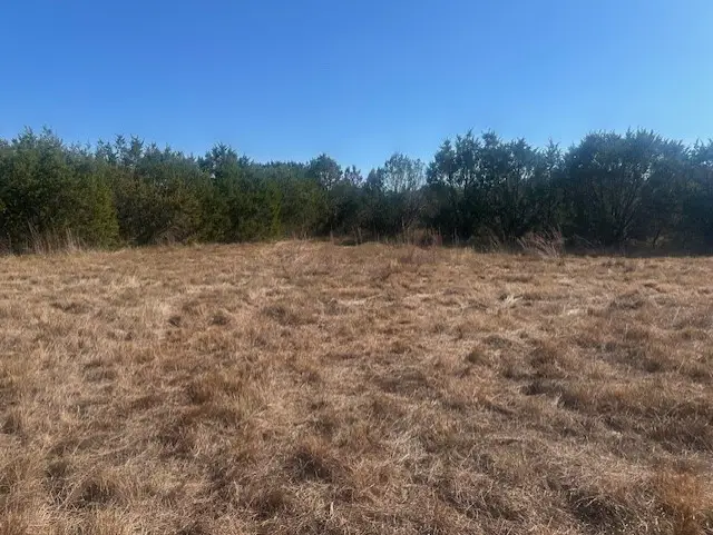 8913 S Peaceful Court, Granbury, TX 76048 - Image #3