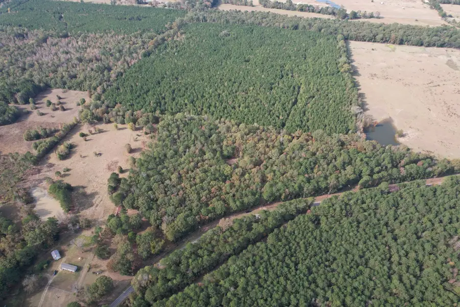 TBD-A Boggy Road, Waskom, TX 75692 - Image #2