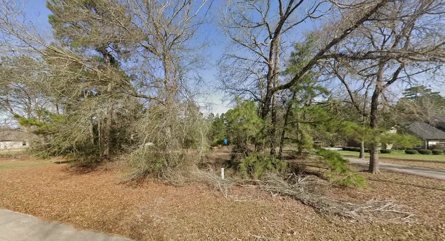 4009 Moody Drive, Montgomery, TX 77316 - Image #2