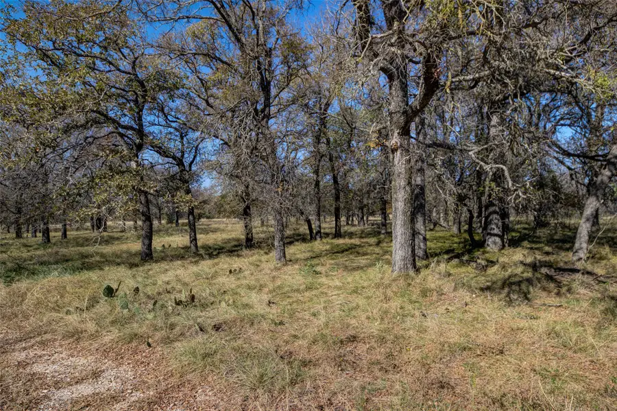 Lot 194 Grand Harbor Boulevard, Chico, TX 76431 - Image #2