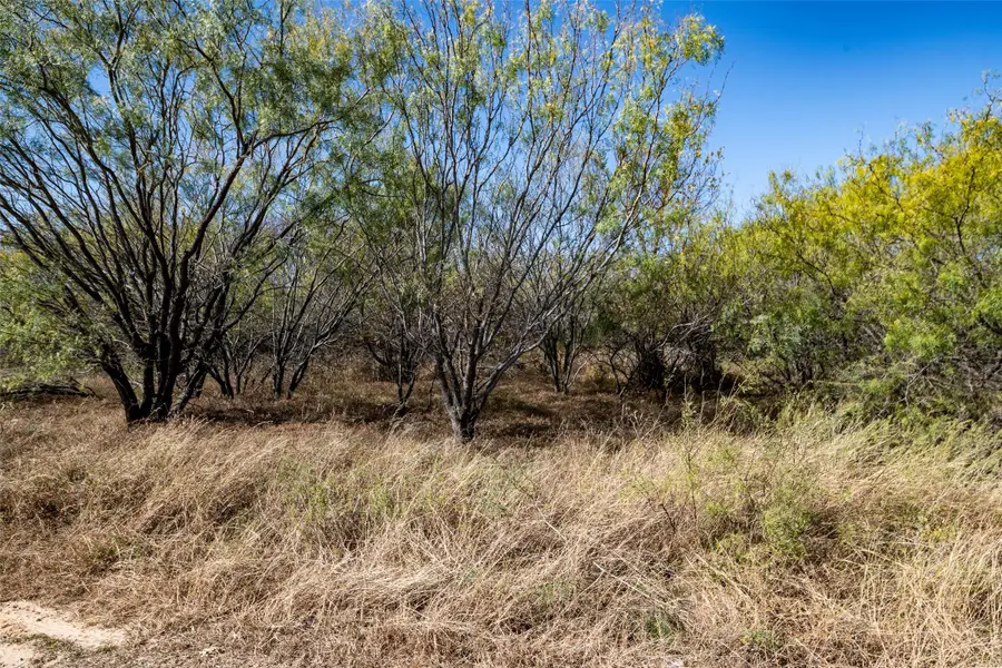 Lot 194 Grand Harbor Boulevard, Chico, TX 76431 - Image #3