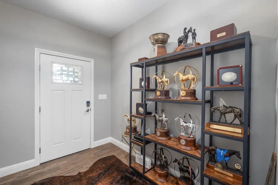 317 Titus Drive, Springtown, TX 76082 - Image #3