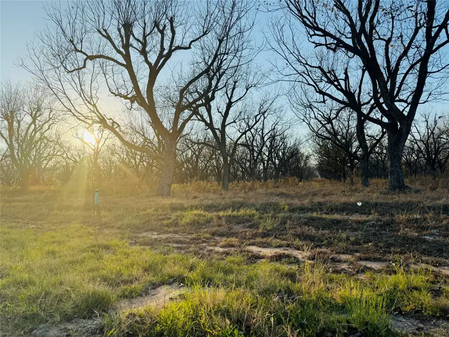 2519 Buckskin Drive, Granbury, TX 76049 - Image #2