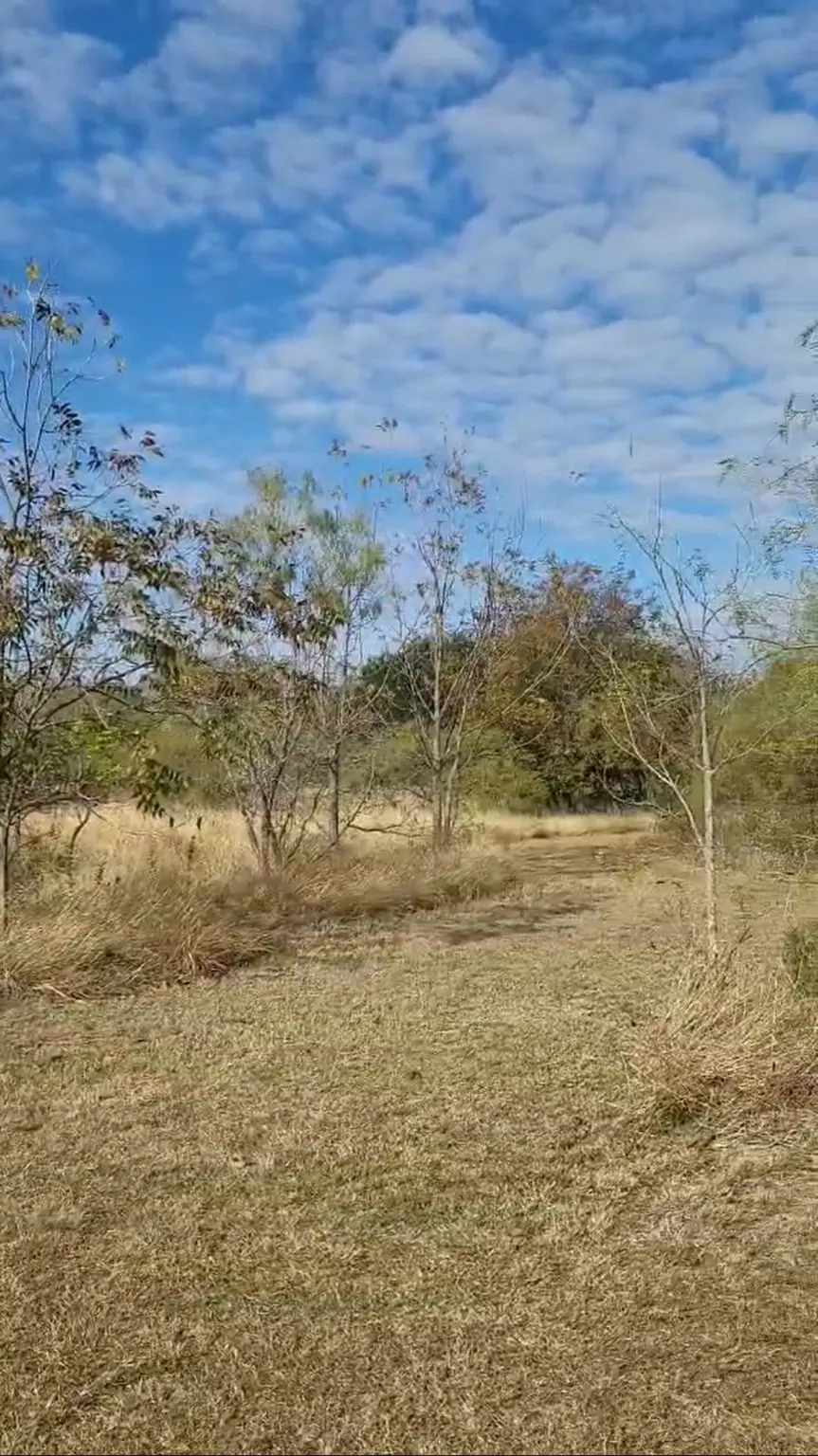 200 Private Road 1402, Morgan, TX 76671 - Image #2