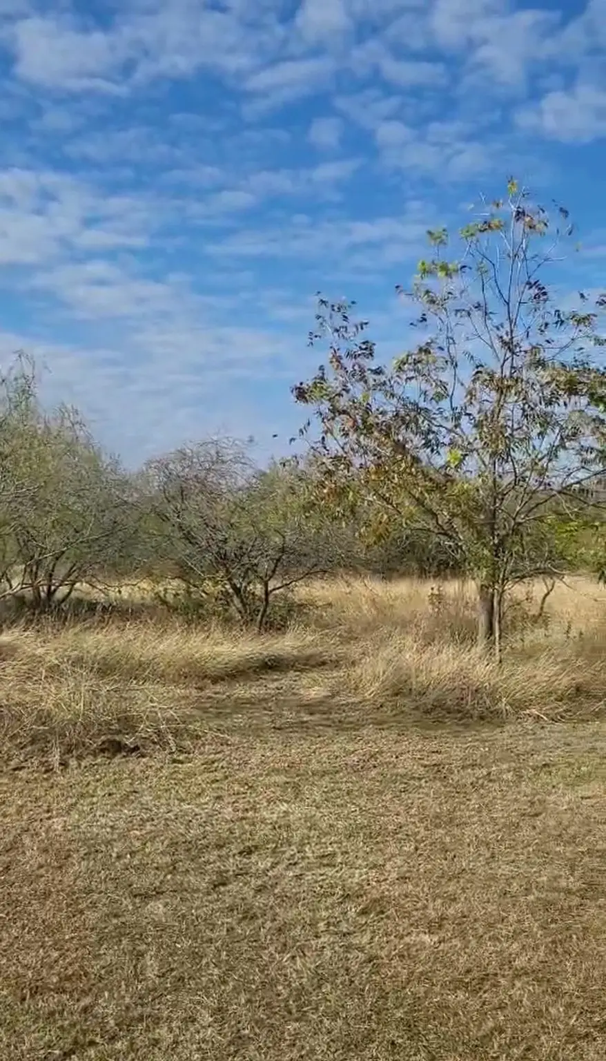 200 Private Road 1402, Morgan, TX 76671 - Image #3